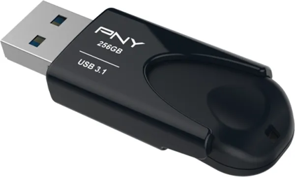  256GB PNY Attach? 4 (FD256ATT431KK-EF) (USB 3.1), 